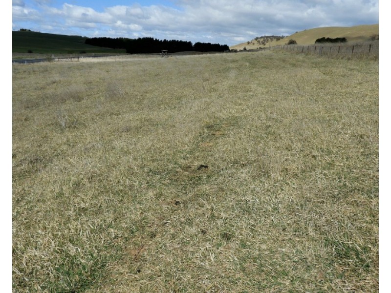 2619 Braidwood Road, Lake Bathurst NSW 2580