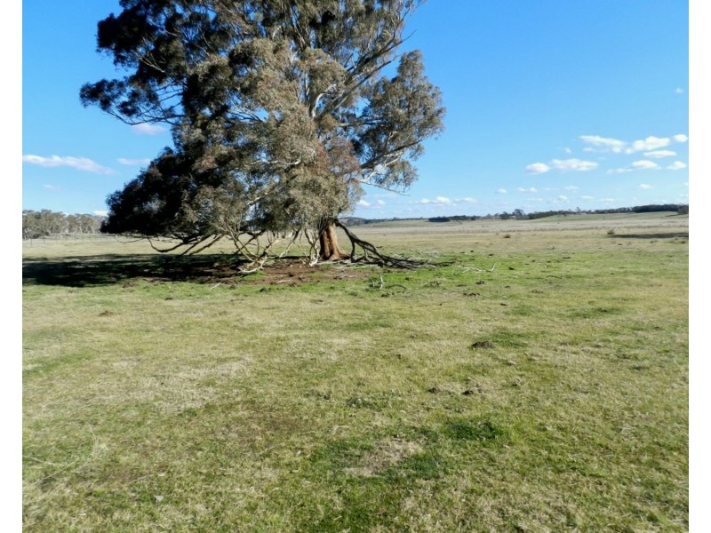 Lot 2 Thornford Road, Goulburn NSW 2580