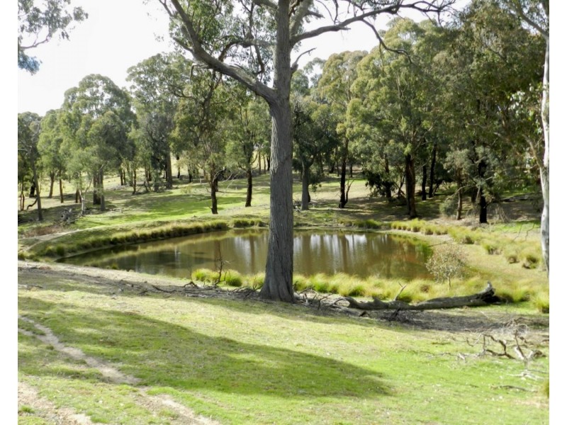 Lot 4 Cuddyong Road, Binda NSW 2583