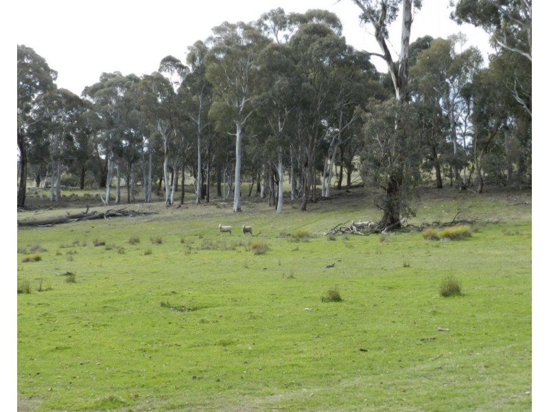 Lot 4 Cuddyong Road, Binda NSW 2583
