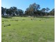 Lot 4 Cuddyong Road, Binda NSW 2583