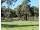 Lot 4 Cuddyong Road, Binda NSW 2583