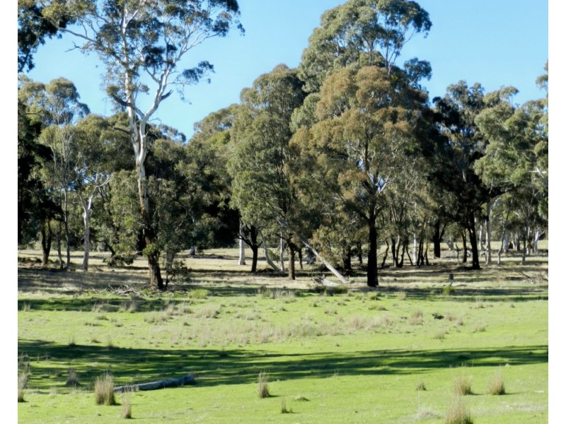 Lot 4 Cuddyong Road, Binda NSW 2583