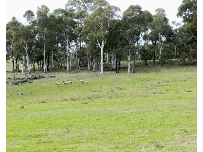 Lot 4 Cuddyong Road, Binda NSW 2583