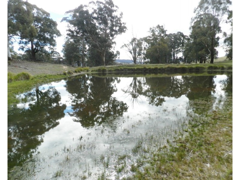 Lot 4 Cuddyong Road, Binda NSW 2583