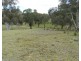 Lot 4 Cuddyong Road, Binda NSW 2583