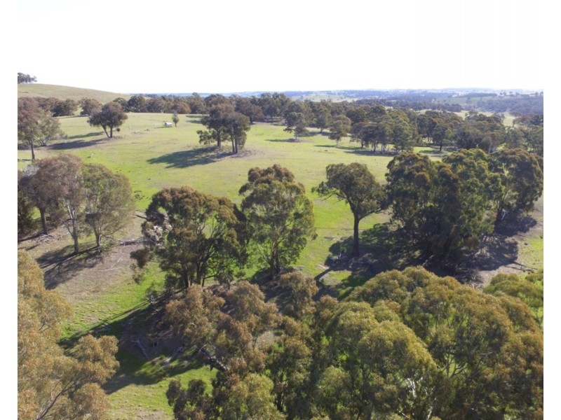 Lot 4 Cuddyong Road, Binda NSW 2583