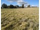 Pine Grove Lot 10 McIntosh Road, Crookwell NSW 2583