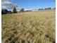 Pine Grove Lot 10 McIntosh Road, Crookwell NSW 2583