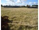 Pine Grove Lot 16 McIntosh Road, Crookwell NSW 2583