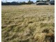 Pine Grove Lot 16 McIntosh Road, Crookwell NSW 2583