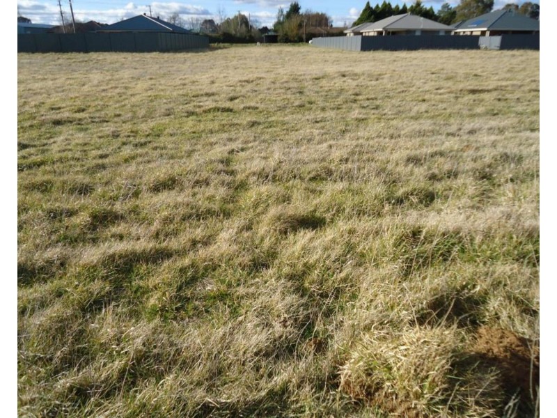 Pine Grove Lot 16 McIntosh Road, Crookwell NSW 2583