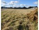 Pine Grove Lot 17 McIntosh Road, Crookwell NSW 2583