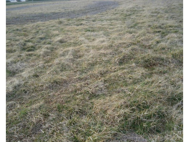 Pine Grove Lot 18 McIntosh Road, Crookwell NSW 2583