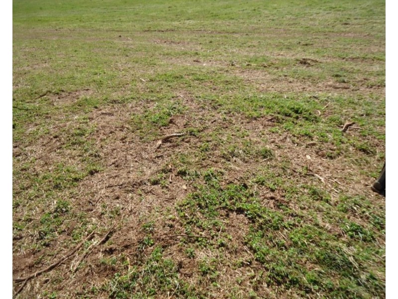 Pine Grove Lot 28 McIntosh Road, Crookwell NSW 2583