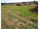 Pine Grove Lot 29 McIntosh Road, Crookwell NSW 2583