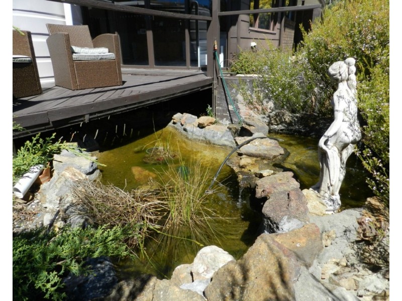 309  Winfarthing Road, Marulan NSW 2579