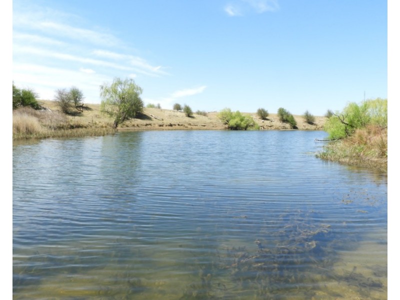 1026 Towrang Road, Towrang NSW 2580