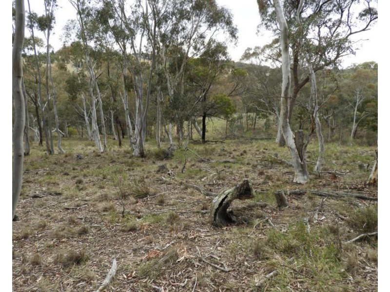 308 Mt Baw Baw Road, Goulburn NSW 2580