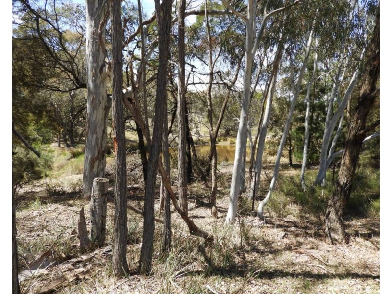 308 Mt Baw Baw Road, Goulburn NSW 2580