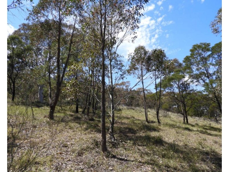 308 Mt Baw Baw Road, Goulburn NSW 2580