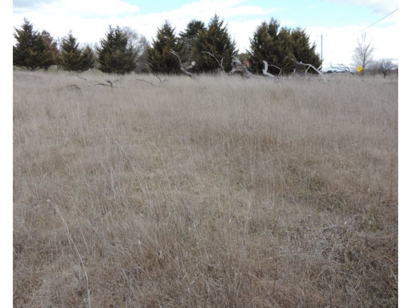 Lot 31 Queen Street, Binda NSW 2583