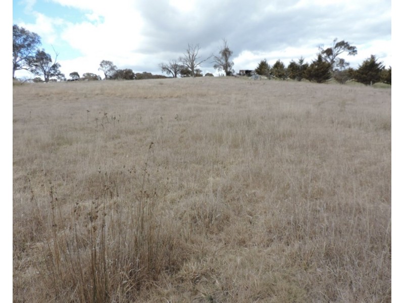 Lot 31 Queen Street, Binda NSW 2583