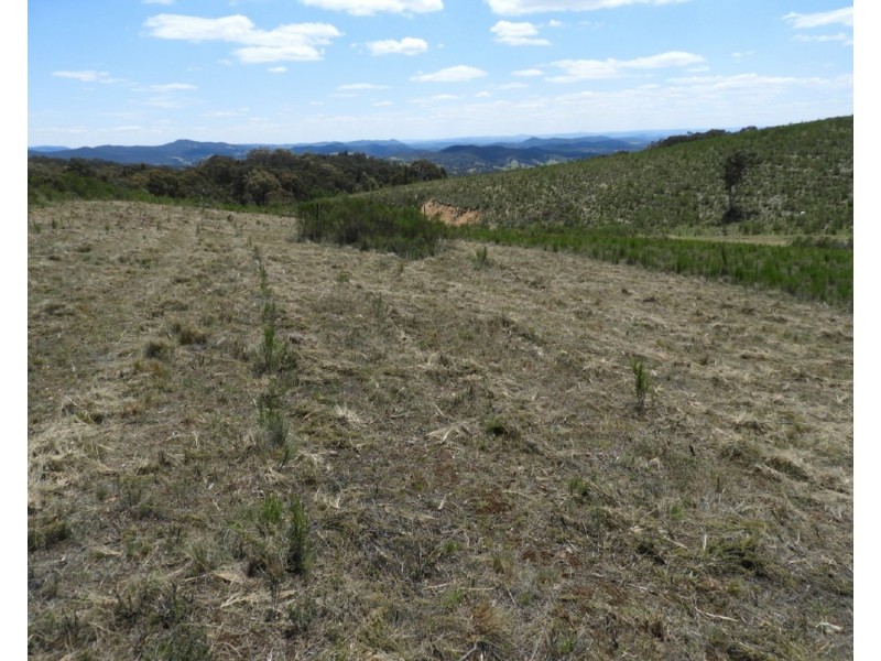 141 Flowerburn Road, Crookwell NSW 2583