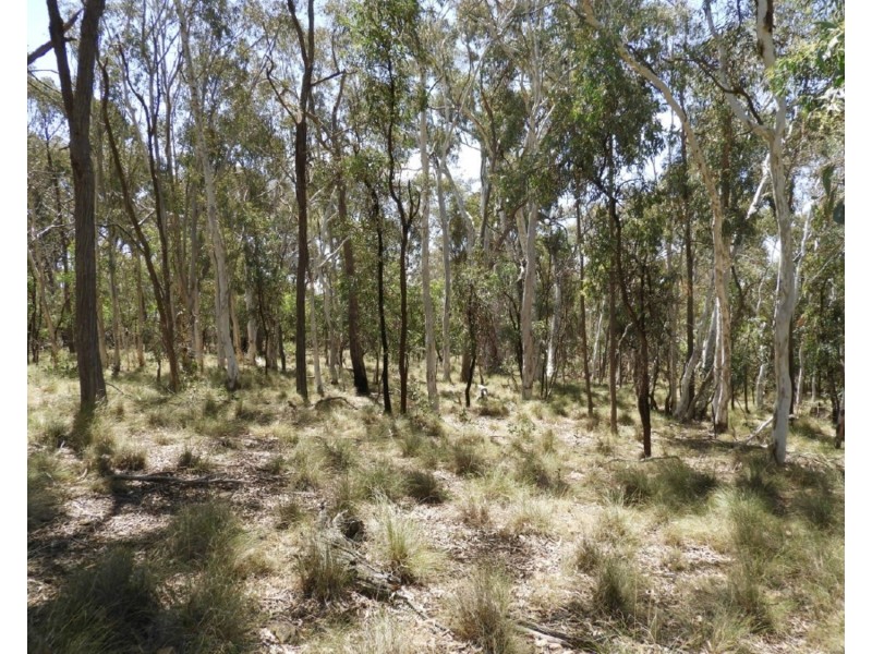 141 Flowerburn Road, Crookwell NSW 2583