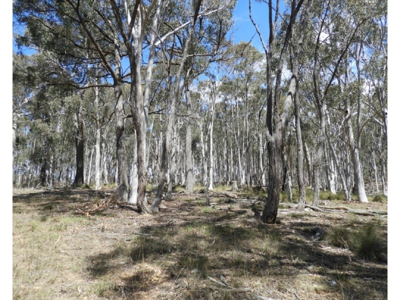 141 Flowerburn Road, Crookwell NSW 2583