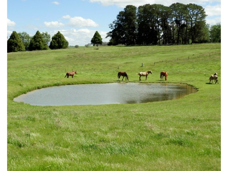 2853 Gurrundah Road, Gurrundah NSW 2581