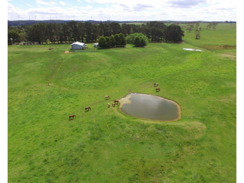 2853 Gurrundah Road, Gurrundah NSW 2581