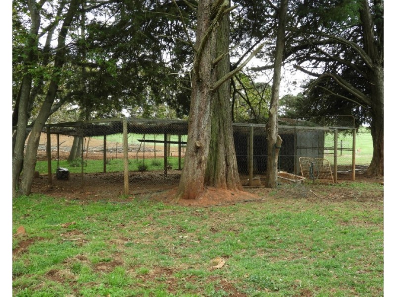 2853 Gurrundah Road, Gurrundah NSW 2581