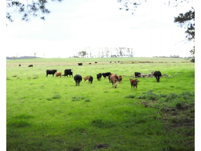 2853 Gurrundah Road, Gurrundah NSW 2581