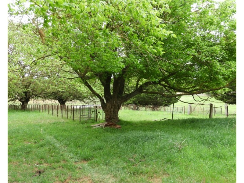 2853 Gurrundah Road, Gurrundah NSW 2581