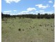 146  Yarralaw Road, Windellama NSW 2580