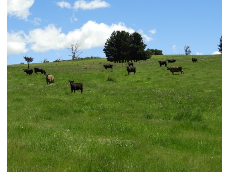 Ilma 528 Peelwood Road, Laggan NSW 2583