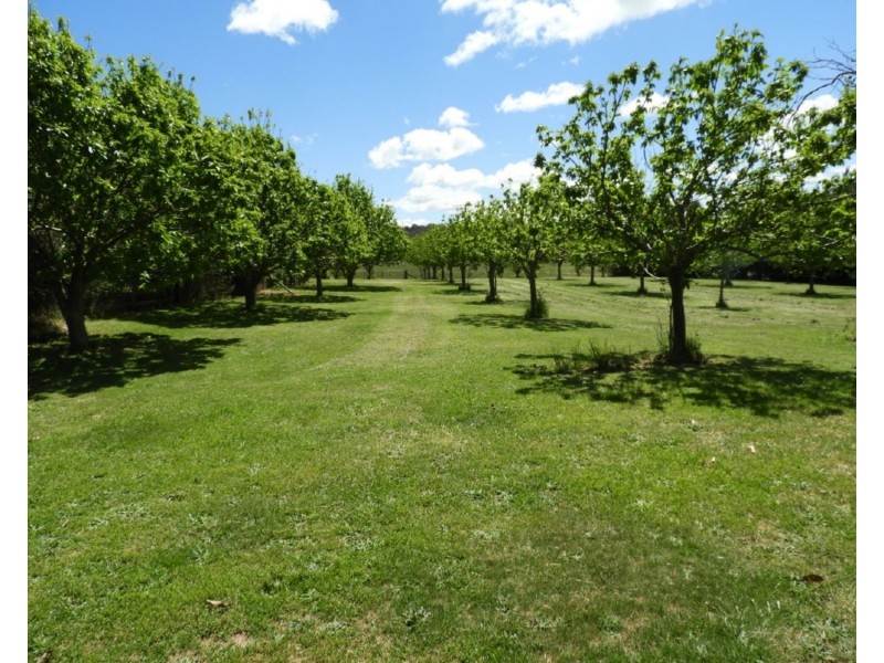 Ilma 528 Peelwood Road, Laggan NSW 2583