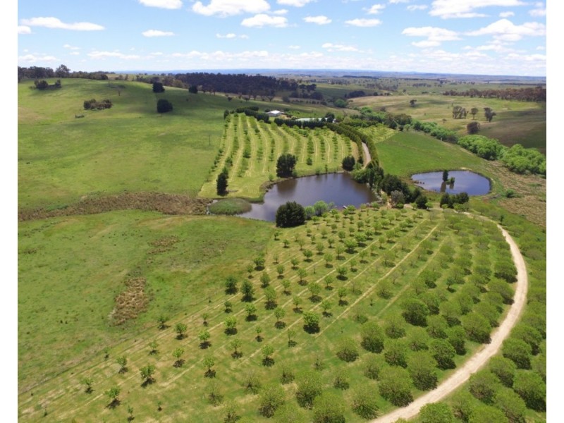 Ilma 528 Peelwood Road, Laggan NSW 2583