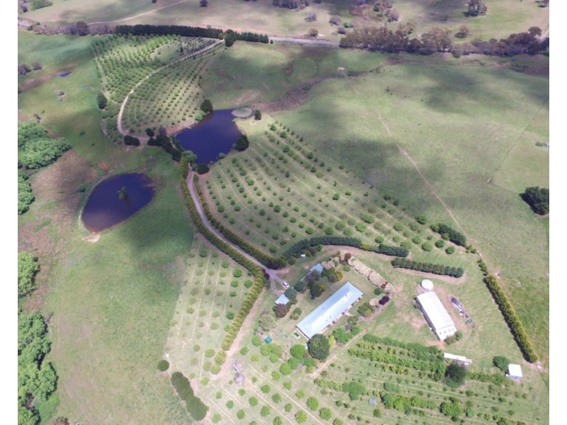 Ilma 528 Peelwood Road, Laggan NSW 2583