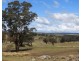 Lot 1 Towrang Road, Towrang NSW 2580