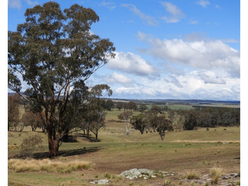 Lot 1 Towrang Road, Towrang NSW 2580