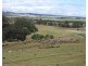 Lot 1 Towrang Road, Towrang NSW 2580