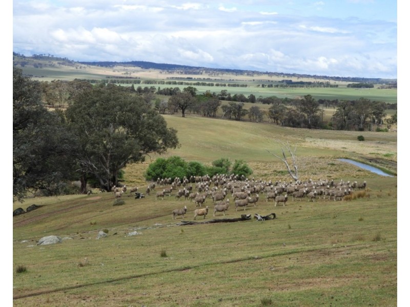 Lot 1 Towrang Road, Towrang NSW 2580