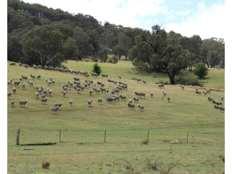 Lot 1 Towrang Road, Towrang NSW 2580