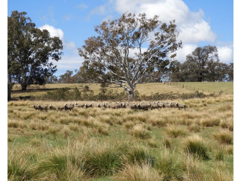 Lot 2 Towrang Road, Towrang NSW 2580