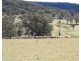 Lot 2 Towrang Road, Towrang NSW 2580