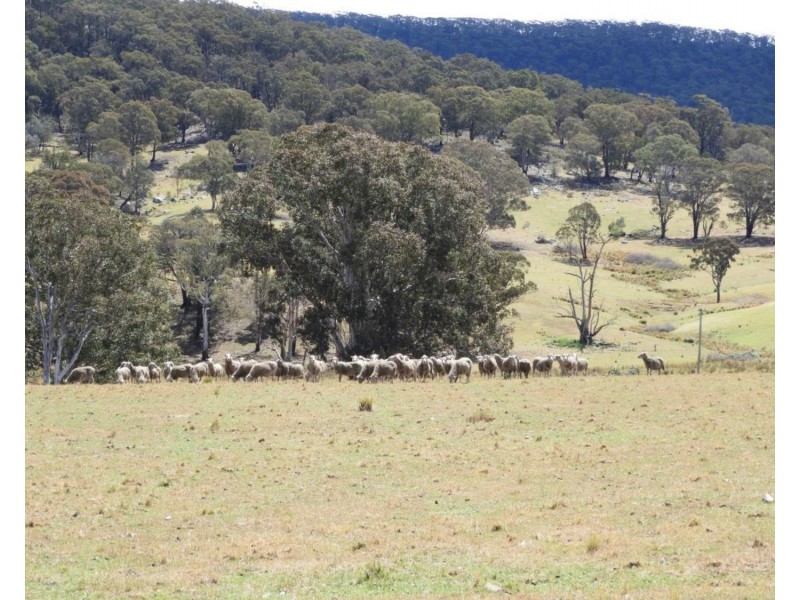 Lot 2 Towrang Road, Towrang NSW 2580