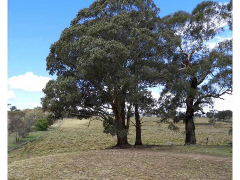 Lot 2 Towrang Road, Towrang NSW 2580
