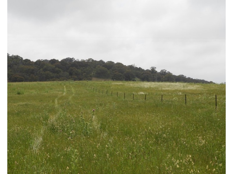 Lot 1 Richlands Road, Taralga NSW 2580